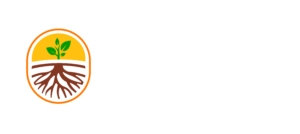 LOGO SOCLE2